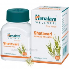 Шатавари (Shatavari), 60 таб - нормализует женскую гормональную систему, усиливает половое влечение, поддерживает репродуктивную функцию и производство грудного молока!
